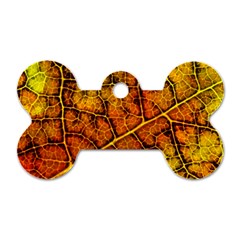 Autumn Leaves Forest Fall Color Dog Tag Bone (one Side) by Pakrebo