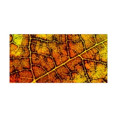 Autumn Leaves Forest Fall Color Yoga Headband by Pakrebo