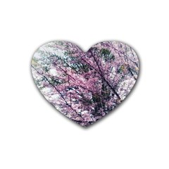 Ohio Redbud Heart Coaster (4 Pack)  by Riverwoman