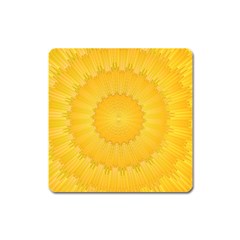 Wave Lines Yellow Square Magnet by HermanTelo