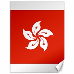 Flag Of Hong Kong Canvas 36  X 48  by abbeyz71