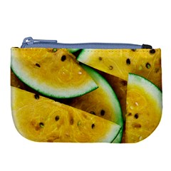 Sliced Watermelon Lot Large Coin Purse