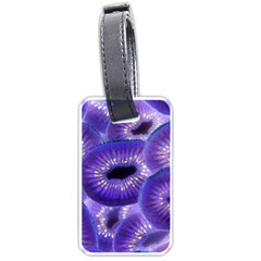 Sliced Kiwi Fruits Purple Luggage Tag (one Side) by Pakrebo