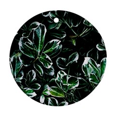 Beautiful Botanical Bright Ornament (round)