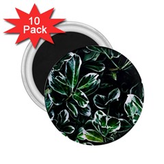 Beautiful Botanical Bright 2 25  Magnets (10 Pack)  by Pakrebo