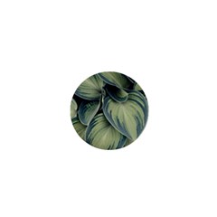 Closeup Photo Of Green Variegated Leaf Plants 1  Mini Buttons