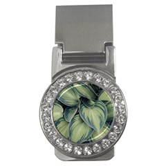 Closeup Photo Of Green Variegated Leaf Plants Money Clips (CZ) 