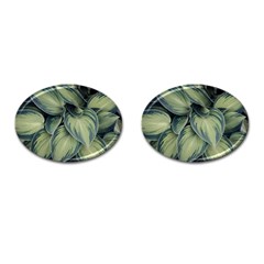 Closeup Photo Of Green Variegated Leaf Plants Cufflinks (Oval)