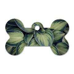 Closeup Photo Of Green Variegated Leaf Plants Dog Tag Bone (One Side)