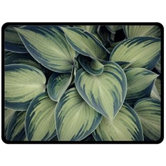 Closeup Photo Of Green Variegated Leaf Plants Fleece Blanket (Large) 