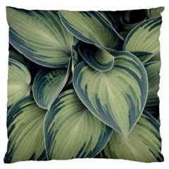 Closeup Photo Of Green Variegated Leaf Plants Large Cushion Case (One Side)