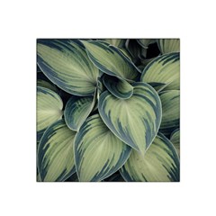 Closeup Photo Of Green Variegated Leaf Plants Satin Bandana Scarf