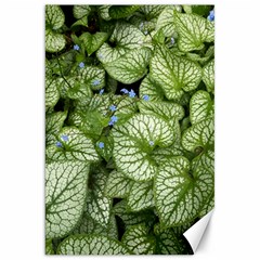 Green And White Leaf Plant Canvas 20  X 30  by Pakrebo