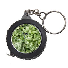 Green And White Leaf Plant Measuring Tape by Pakrebo