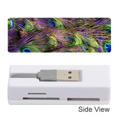 Green Purple And Blue Peacock Feather Digital Wallpaper Memory Card Reader (stick) by Pakrebo