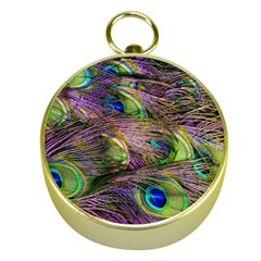 Green Purple And Blue Peacock Feather Digital Wallpaper Gold Compasses by Pakrebo