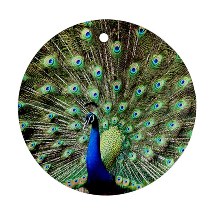Blue And Green Peacock Ornament (Round)