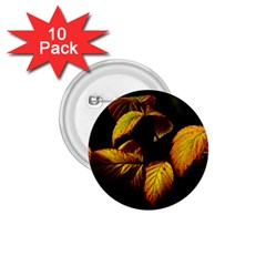 Nature Yellow Plant Leaves 1 75  Buttons (10 Pack)