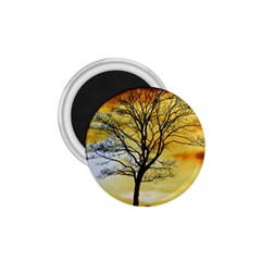 Branches Dawn Dusk Fall 1 75  Magnets by Pakrebo