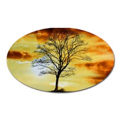 Branches Dawn Dusk Fall Oval Magnet by Pakrebo