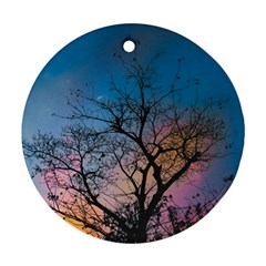 Low Angle Photography Of Bare Tree Ornament (round)