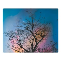 Low Angle Photography Of Bare Tree Double Sided Flano Blanket (large)  by Pakrebo