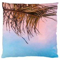 Two Green Palm Leaves On Low Angle Photo Large Cushion Case (one Side) by Pakrebo