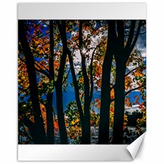 Silhouette Of Trees Canvas 11  X 14  by Pakrebo