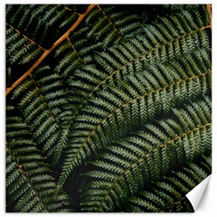 Green Leaves Photo Canvas 16  X 16  by Pakrebo