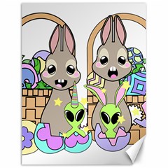 Graphic Kawaii Bunnies Canvas 12  X 16 