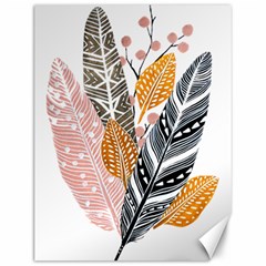 Feather Feathers Canvas 12  X 16 