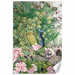 Peafowl Peacock Feather Beautiful Canvas 24  X 36 