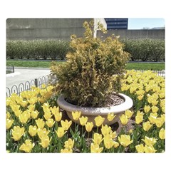 Columbus Commons Yellow Tulips Double Sided Flano Blanket (small)  by Riverwoman