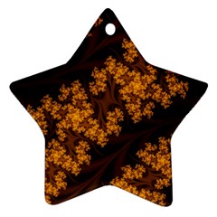 Abstract Fractal Pattern Artwork Flora Ornament (star)