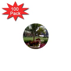 Columbus Commons In Late May  1  Mini Magnets (100 Pack) 