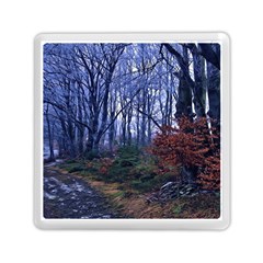 Forest Beeches Way Winter Snow Memory Card Reader (square) by Wegoenart