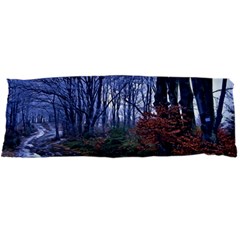 Forest Beeches Way Winter Snow Body Pillow Case Dakimakura (two Sides) by Wegoenart