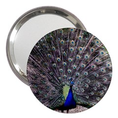 Peacock Bird Feather Plumage Green 3  Handbag Mirrors by Wegoenart