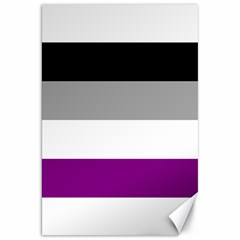 Asexual Pride Flag Lgbtq Canvas 20  X 30  by lgbtnation