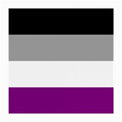 Asexual Pride Flag Lgbtq Medium Glasses Cloth (2 Sides) by lgbtnation