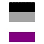 Asexual Pride Flag LGBTQ Shower Curtain 48  x 72  (Small)  Curtain(48  X 72 ) - 42.18 x64.8  Curtain(48  X 72 )