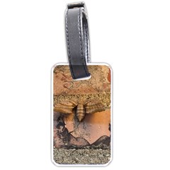 Night Moth Luggage Tag (one Side) by Riverwoman