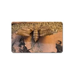 Night Moth Magnet (name Card) by Riverwoman