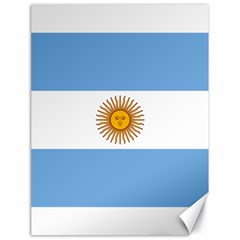 Argentina Flag Canvas 18  X 24  by FlagGallery