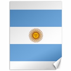 Argentina Flag Canvas 36  X 48  by FlagGallery