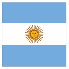 Argentina Flag Large Satin Scarf (square) by FlagGallery