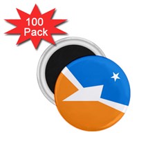 Flag Of Tierra Del Fuego Province, Argentina 1 75  Magnets (100 Pack)  by abbeyz71