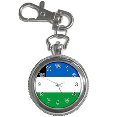 Flag Of Argentine Province Of Río Negro Key Chain Watches by abbeyz71