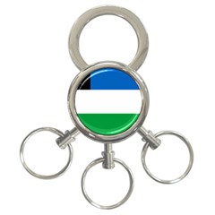 Flag Of Argentine Province Of Río Negro 3-ring Key Chain by abbeyz71