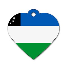 Flag Of Argentine Province Of Río Negro Dog Tag Heart (two Sides) by abbeyz71